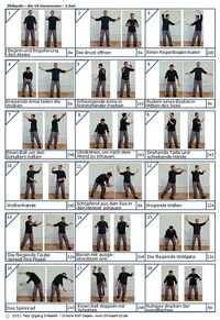 Qigong Shibashi 1.Set