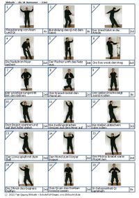 Qigong Shibashi 2.Set